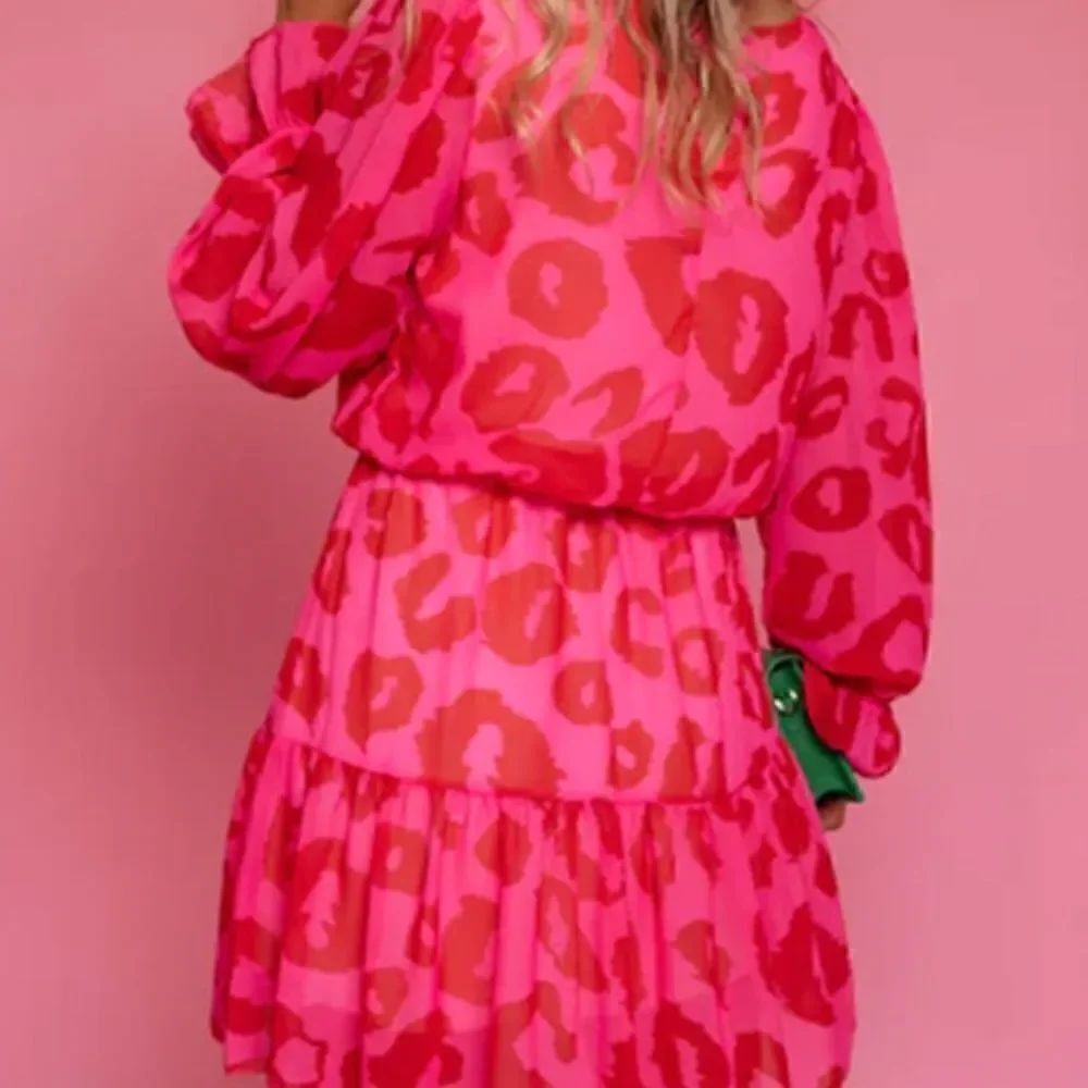 Rose Leopard Print Flounce Mini Dress - Picture 6 of 6